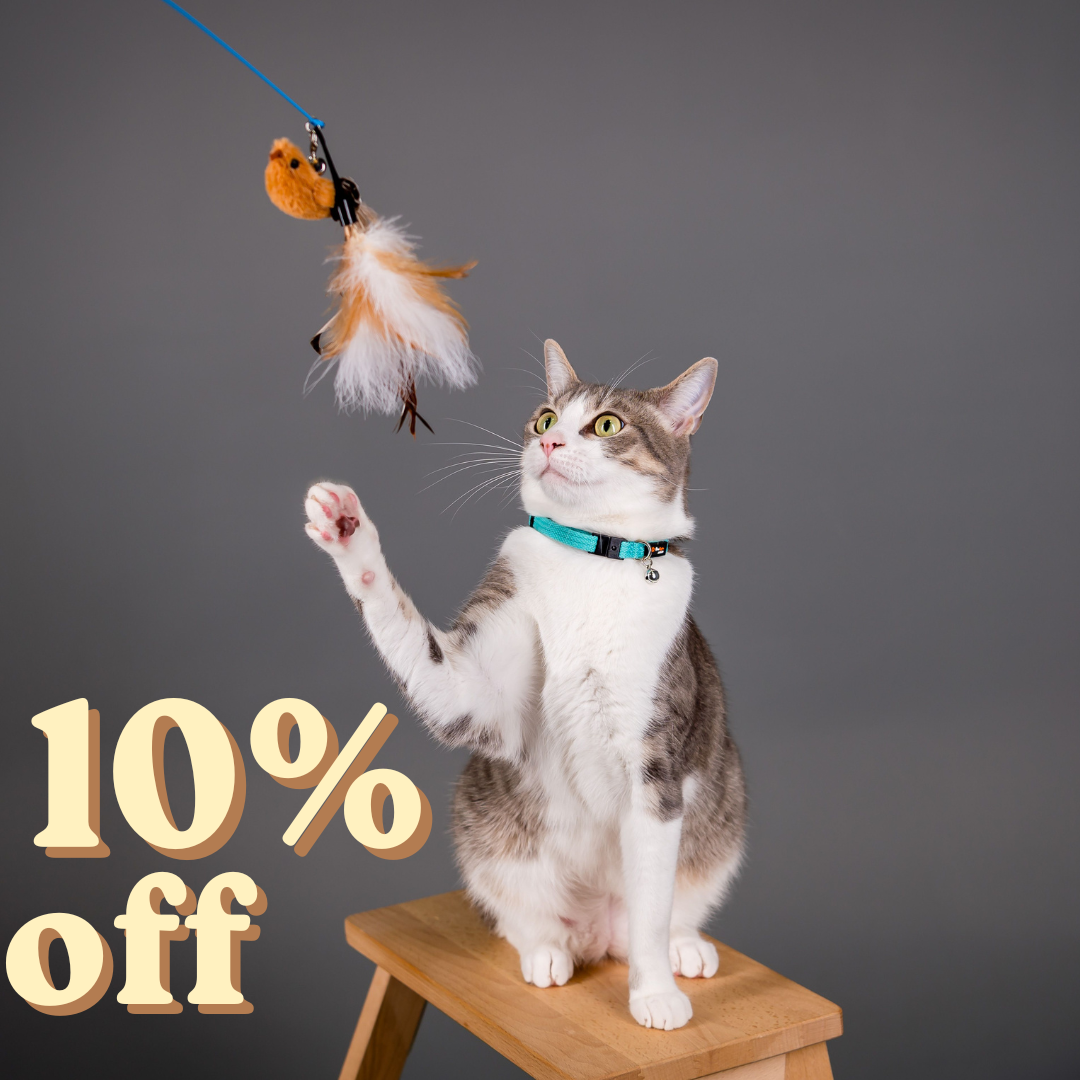 Pet toys