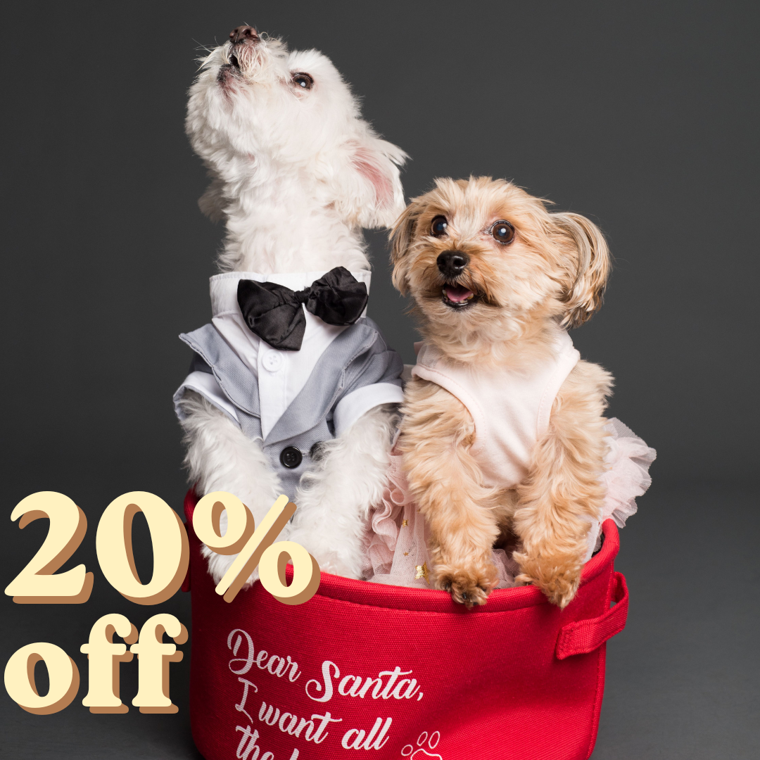 Pet clothes