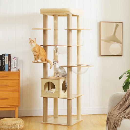 Multi-Level Cat Tree Collection