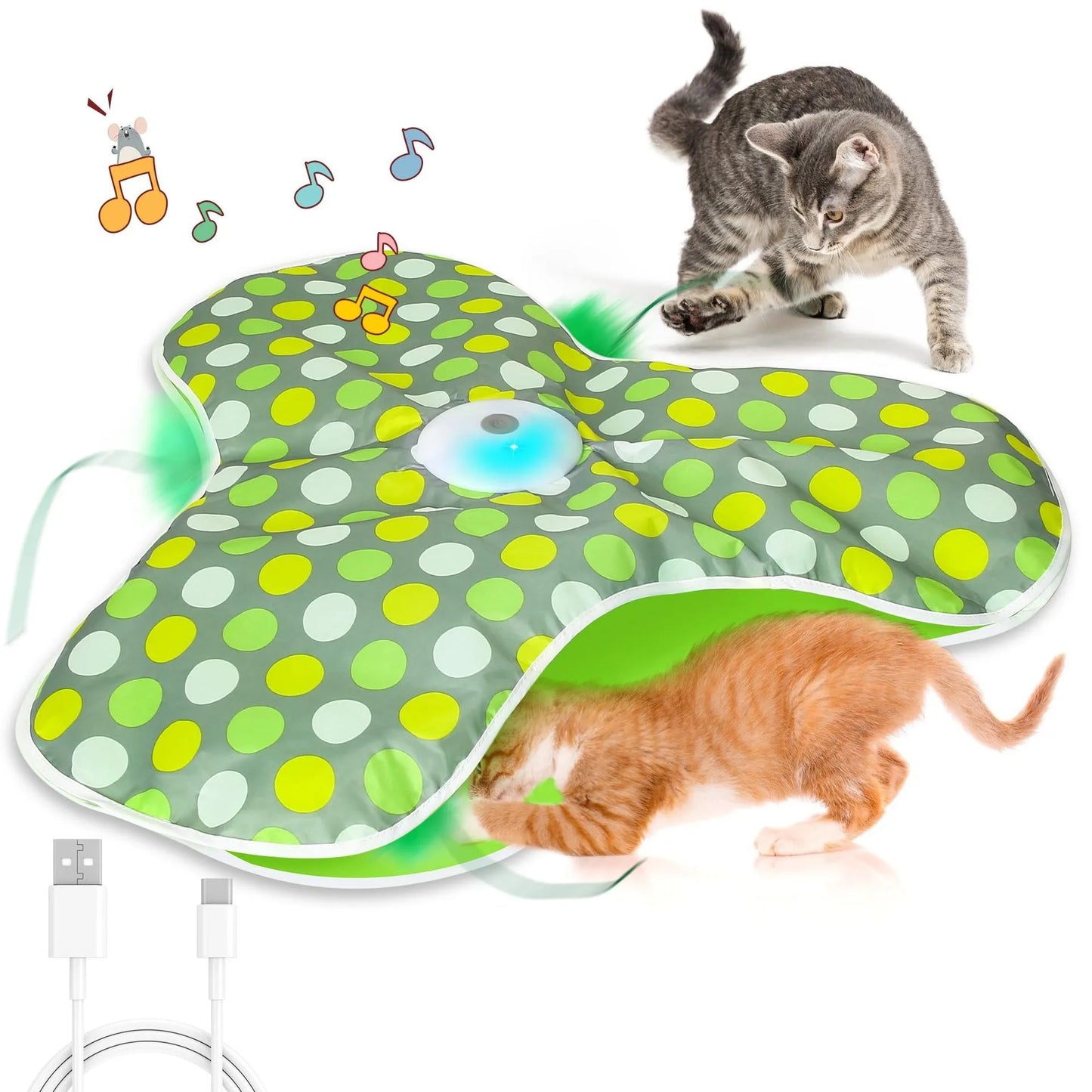 Interactive Hide & Seek Cat Toy