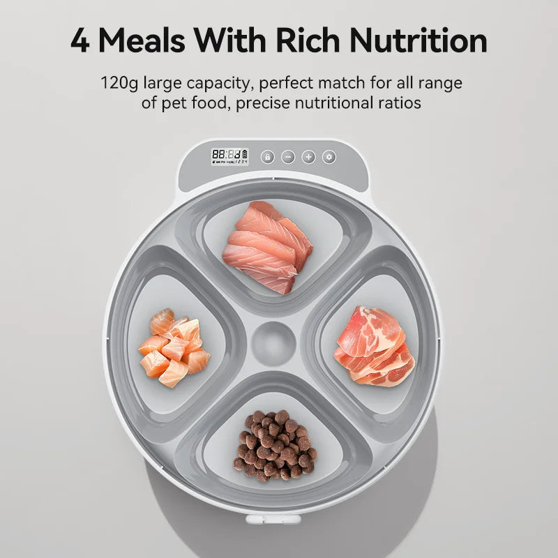 4-Meal Automatic Pet Feeder