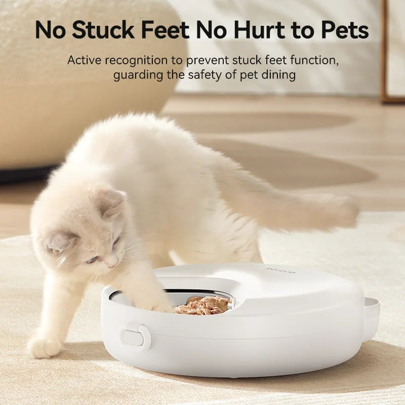 4-Meal Automatic Pet Feeder