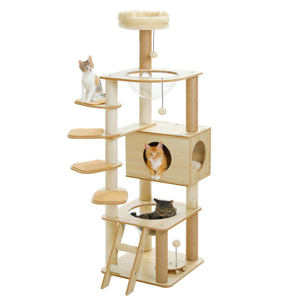 Multi-Level Cat Tree Collection