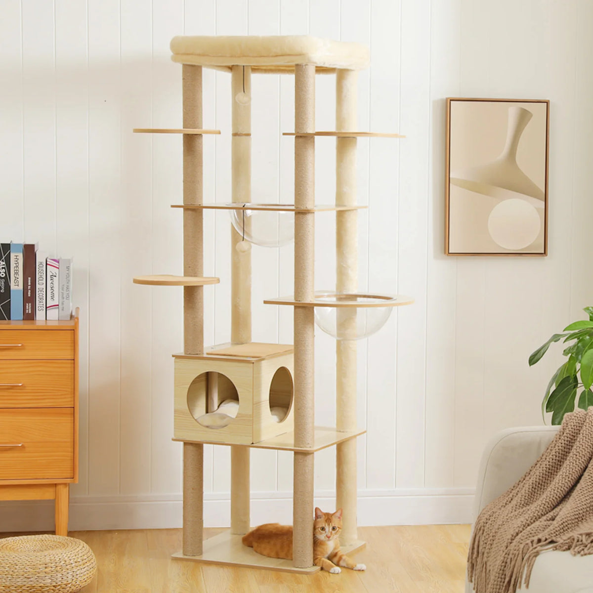 Multi-Level Cat Tree Collection