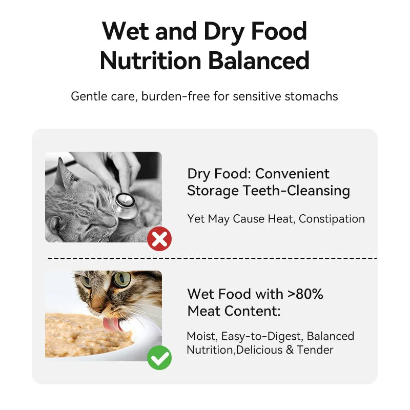 4-Meal Automatic Pet Feeder