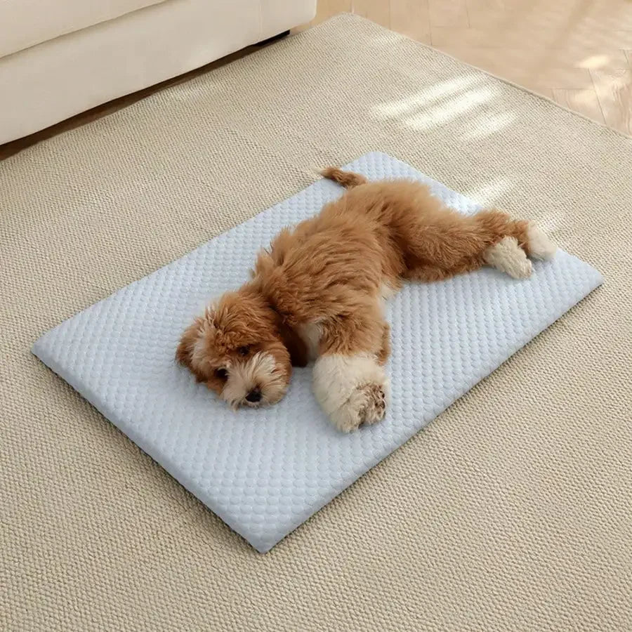 Sponge Cooling Cat Bed