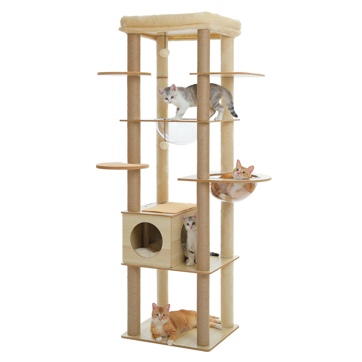 Multi-Level Cat Tree Collection