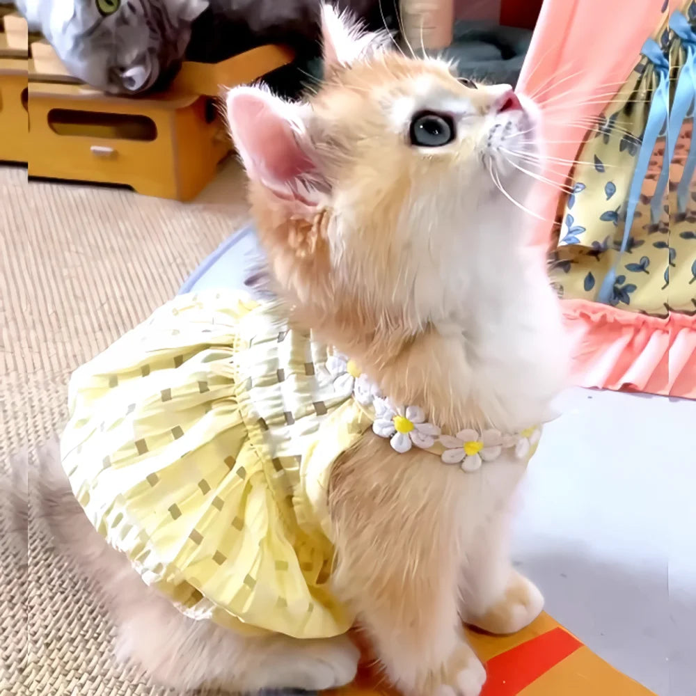 Mini  Princess Dress