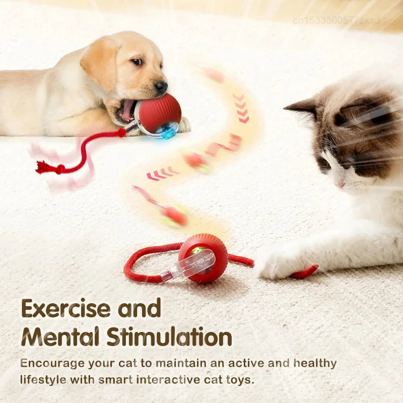 Smart Rolling Cat Ball with Moving Tail