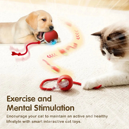 Smart Rolling Cat Ball with Moving Tail