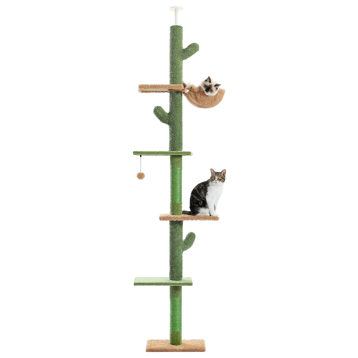 Floor-to-Ceiling Cactus Cat Tree