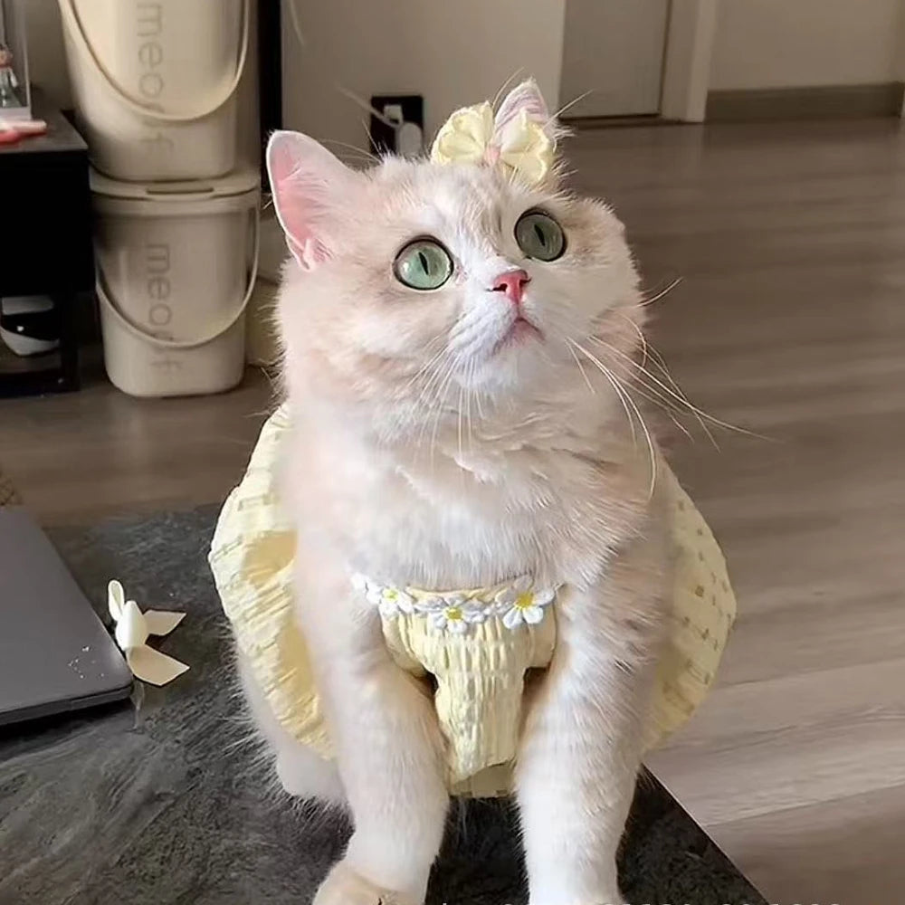 Mini  Princess Dress